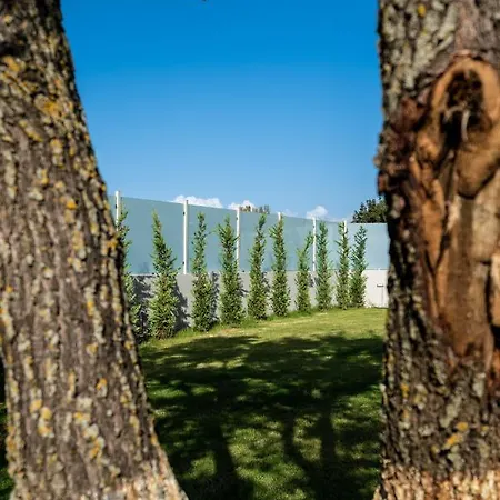 Karavos Almyros 4* Almiros Beach